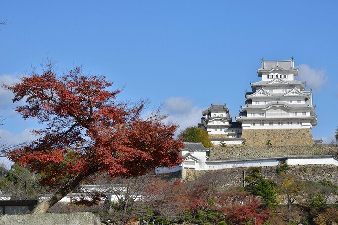 From Kyoto Japanese Sword and Himeji Castle Bus Tour - Why This Tour Offers Great Value