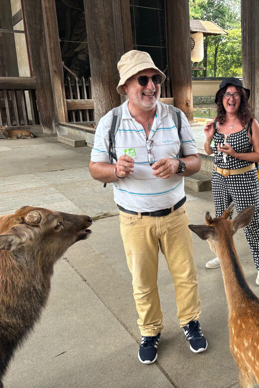 From Kyoto: Nara Guided Morning Tour - Key Points