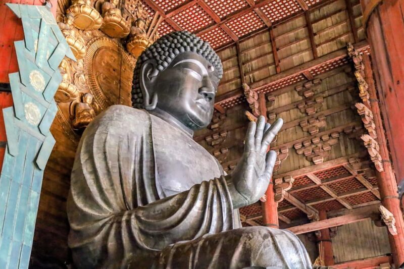 From Kyoto: Nara Guided Morning Tour - An In-Depth Look at the Nara Guided Morning Tour