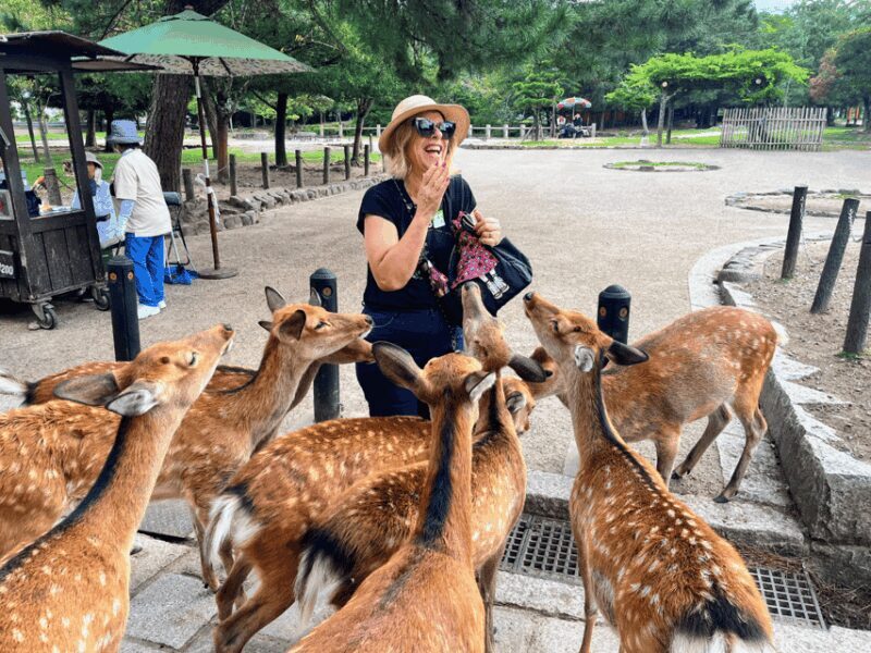 From Kyoto: Nara Guided Morning Tour - Who Should Consider This Tour?