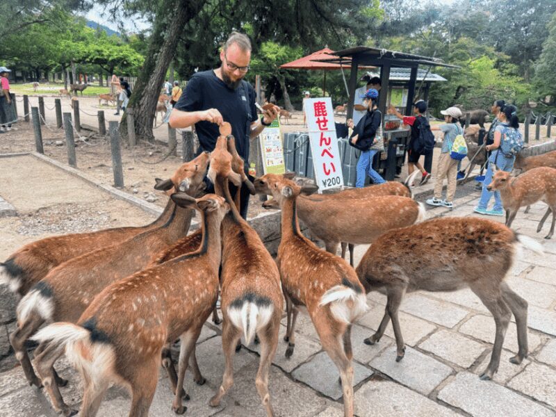From Kyoto: Nara Guided Morning Tour - Final Thoughts