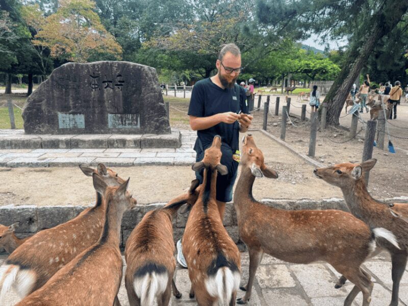 From Kyoto: Nara Guided Morning Tour - FAQ