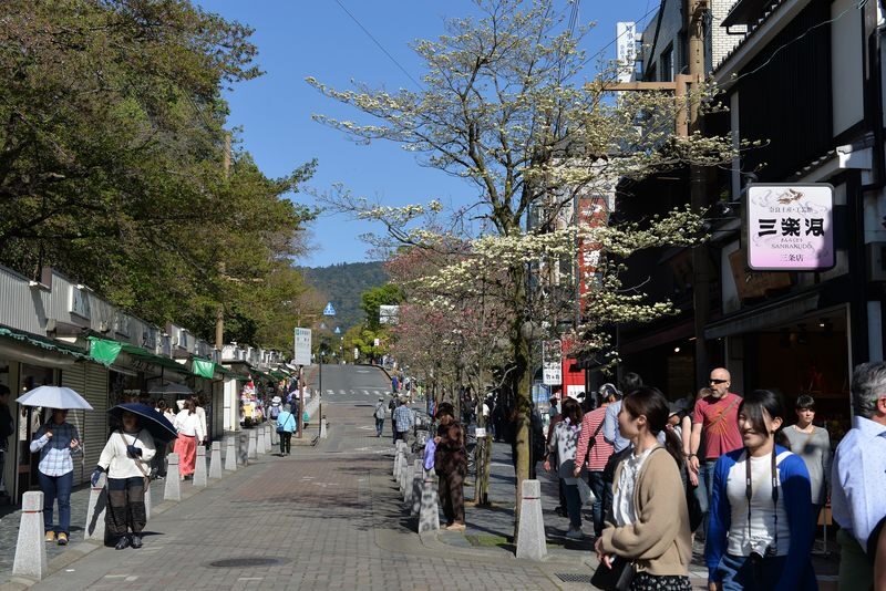 From Kyoto: Old Port Town and Ultimate Sake Tasting Private Tour - Kizakura’s Kappa Museum offers a change of pace