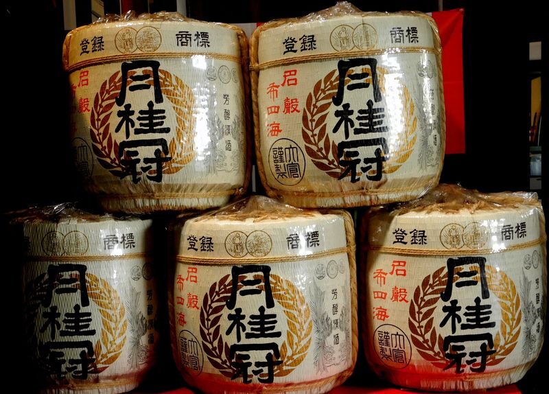 From Kyoto: Old Port Town and Ultimate Sake Tasting Private Tour - Gokonomiya Shrine and the spring water