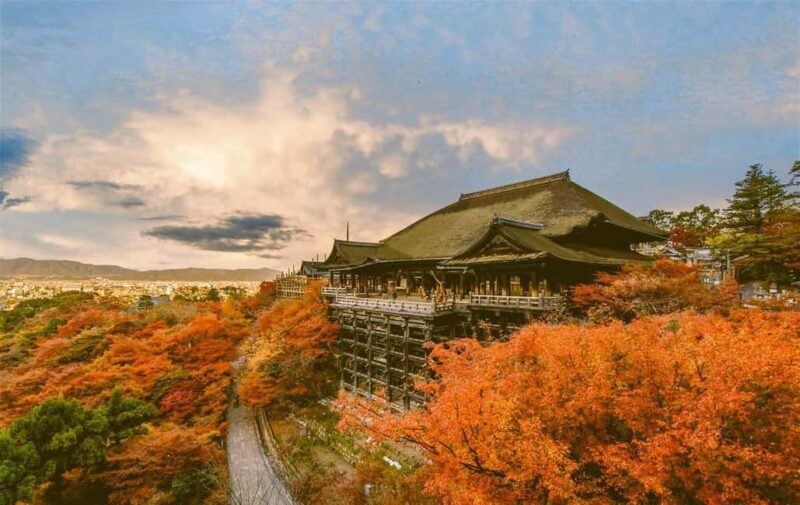 From Kyoto/Osaka Kyoto full day private Hilghts Tour - Key Points