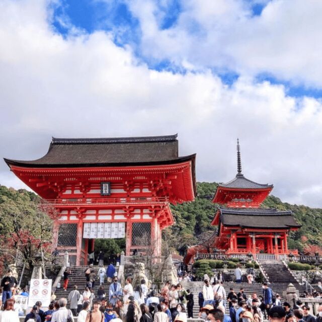 From Kyoto & Osaka: Kyoto Top Attractions Private Day Tour - Who Should Consider This Tour?
