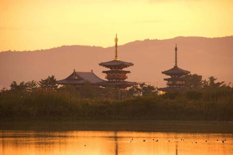 From Kyoto/Osaka: Nara Private Tour with Guide and Vehicle - Key Points