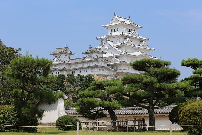 From Kyoto Premium Kobe Beef and Himeji Castle Bus Tour - Key Points