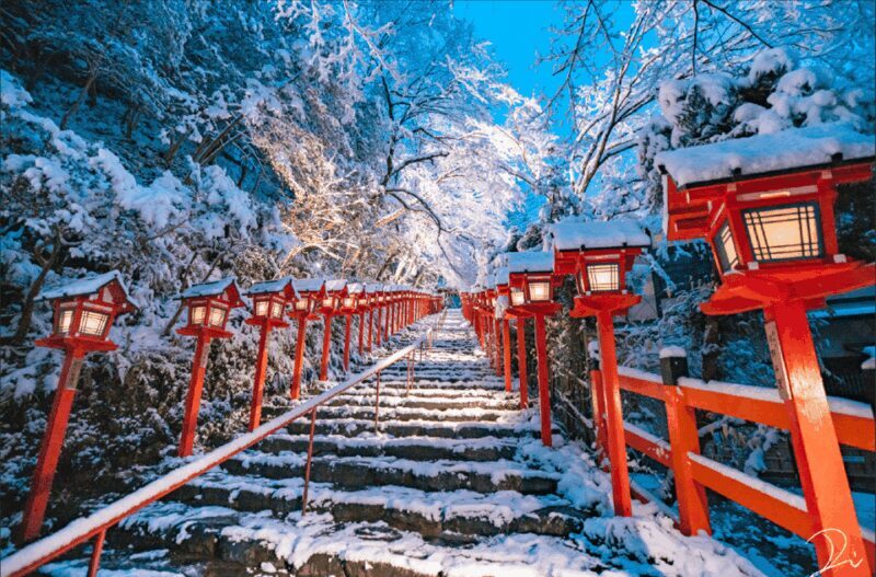 From Kyoto:Day Tour to Kifune Shrine+Kuruma+Sanzen-in Temple - Practical Tips for Future Travelers