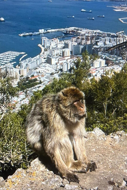 from La Cala/Marbella/Estepona: VIP Gibraltar tour with monkey rock + shopping - Key Points