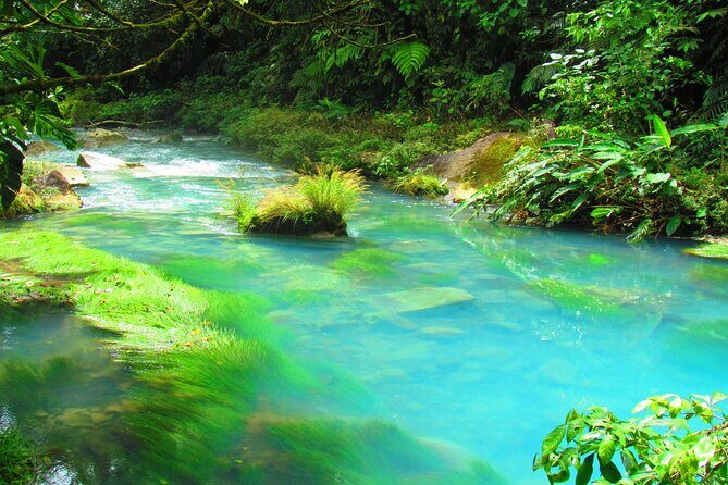 From La Fortuna: Río Celeste Waterfall, Tubing Tour and Lunch - Final Thoughts: Is It Worth It?