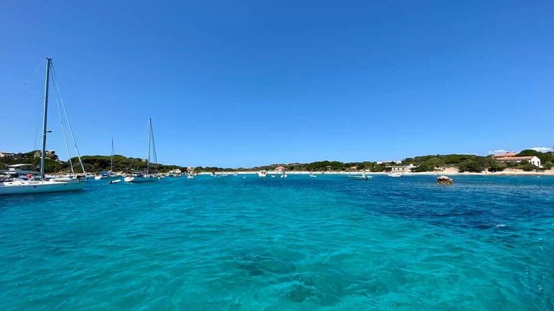 From La Maddalena and Palau: Tour of Budelli & Santa Maria - Why This Tour Works for You