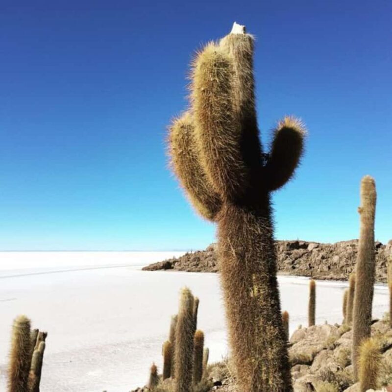 From La Paz: 3-day trip to La Paz and the Uyuni Salt Flats - Exploring the Itinerary in Detail