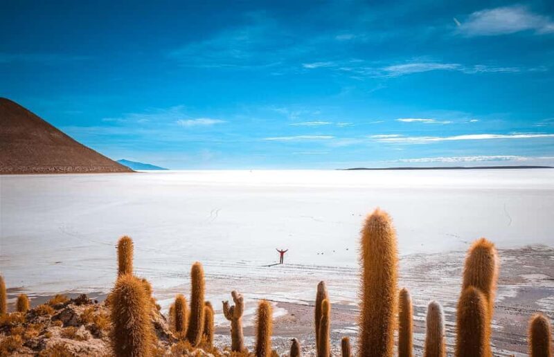 From La Paz: 4-Day Trip to San Pedro de Atacama w/Salt Flats - Key Points