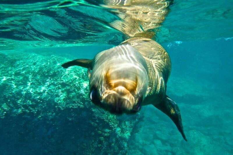 From La Paz: Espiritu Santo Island Adventure - Why This Tour Is Worth Considering