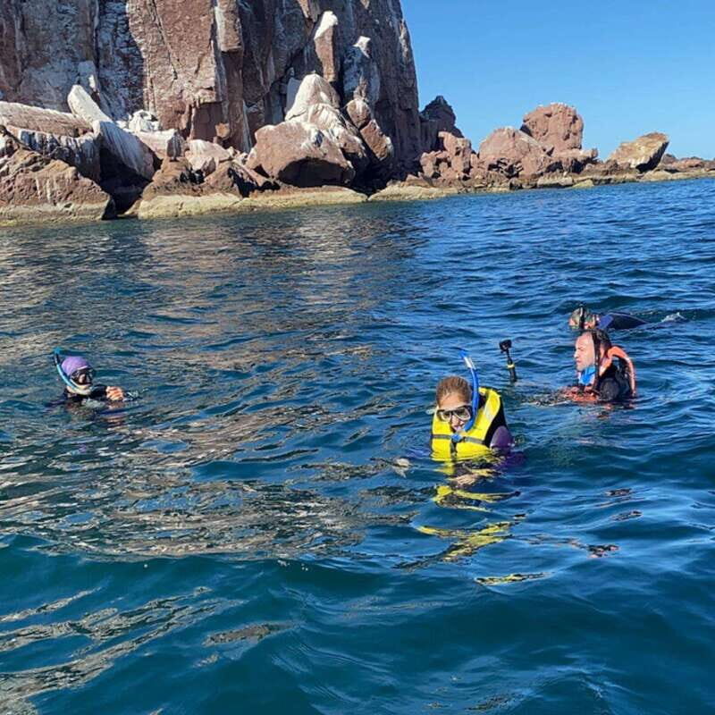 From La Paz: Espíritu Santo Island Tour all inclusive - Key Points
