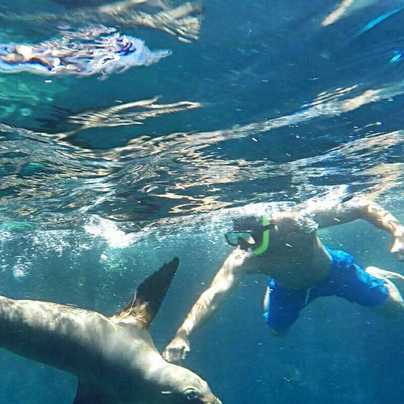 From La Paz: Espíritu Santo Island Tour all inclusive - Final Thoughts