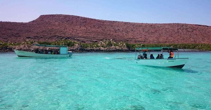 From La Paz: Espíritu Santo Island Tour all inclusive - FAQs