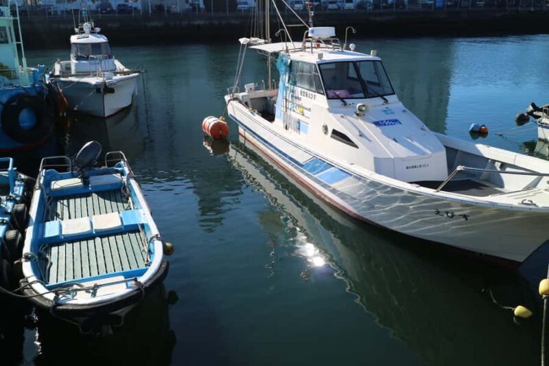 From La Paz: Lake Titicaca and Copacabana Private Tour - Analyzing the Value