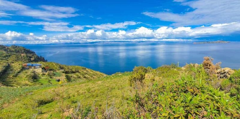 From La Paz: Lake Titicaca and Island of the Sun Day Trip - The Sum Up