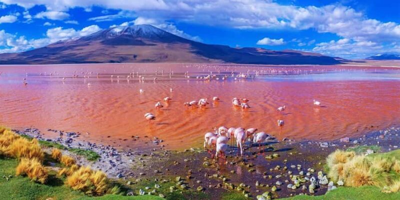 From La Paz to Atacama: Uyuni Salt Flats 4-Day Tour - Who Will Love This Tour?