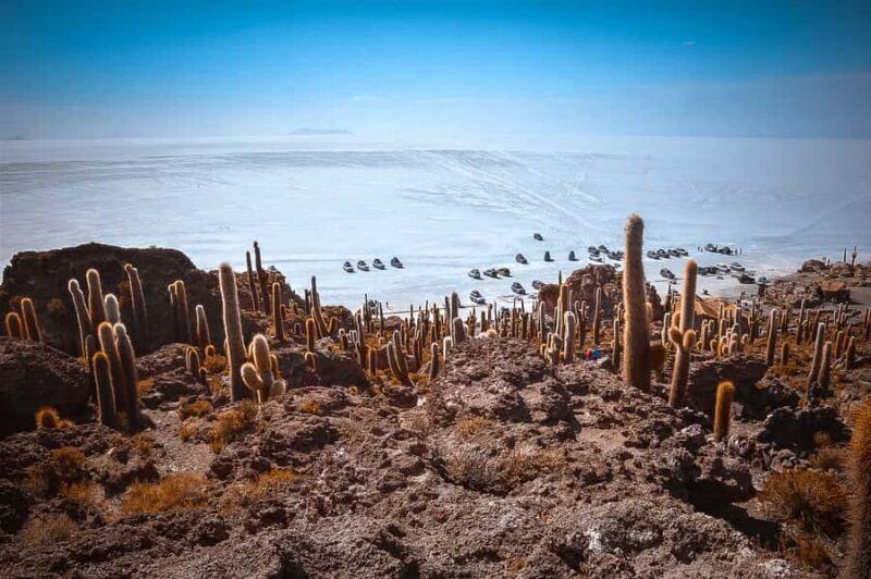 From La Paz: Uyuni and Andean Lagoons 5-Day Guided Trip - A Deep Dive Into Bolivia’s Highlights