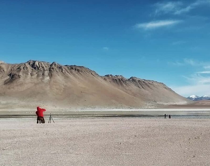 From La Paz: Uyuni salt flats and red lagoon by bus - Key Points