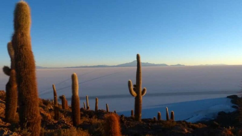 From La Paz: Uyuni Salt Flats & Lagoons 5-Day Tour - FAQ