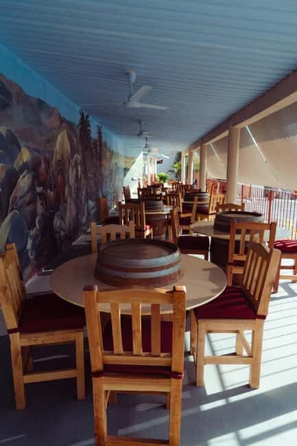 From La Playa: Vineyard Tour w/ Tasting & Todos Santos Stop - What to Expect and Practical Details