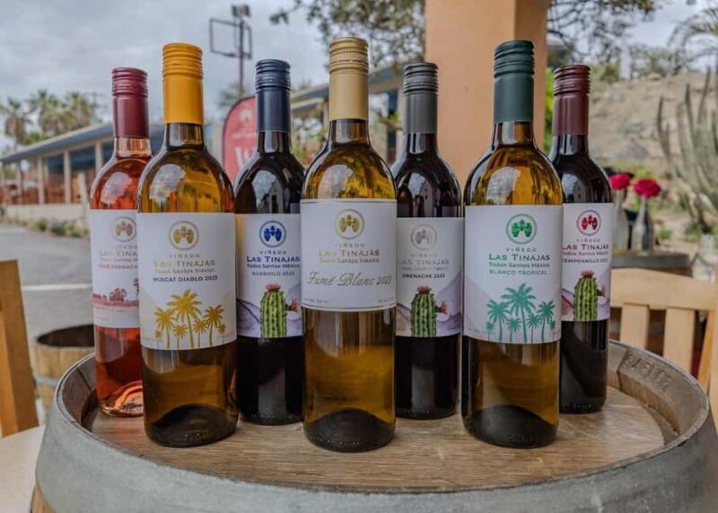 From La Playa: Vineyard Tour w/ Tasting & Todos Santos Stop - Why This Tour Is a Great Choice