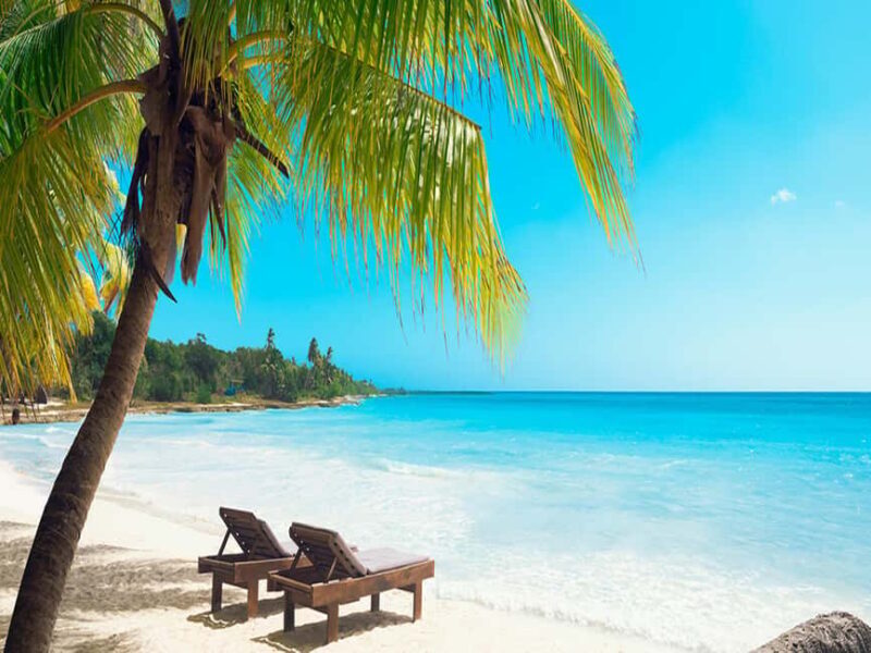 From La Romana: Saona Island All-Inclusive Day Trip - Transportation, Timing, and Group Size