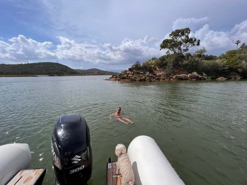 From Lagoa: Visit Silves Town by Boat with Hop Off & Hop On - Who Will Love This Tour?