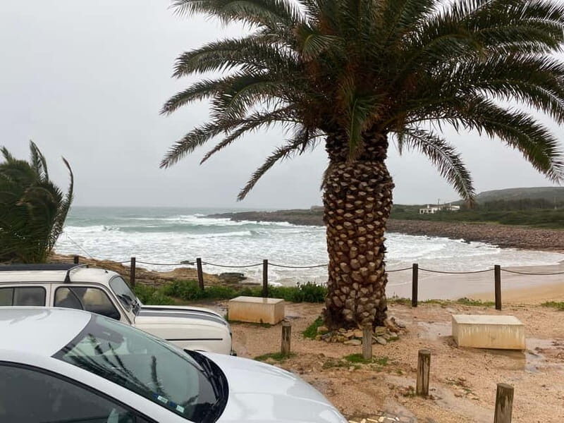 From Lagos: 5 Hour Algarve Coastal Tour with Guide - Practical Details