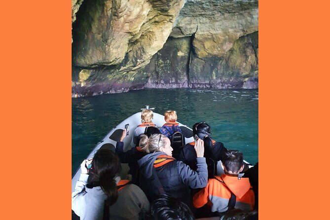 From Lagos: Benagil Caves Tour by Speed Boat with Guide - The Perfect Audience for This Tour
