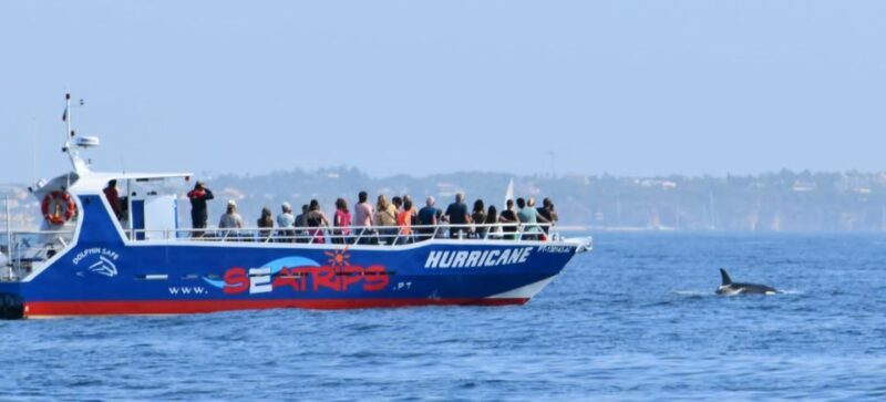 From Lagos: Benagil Sea Caves Tour with a Local Guide - End of Tour and Return