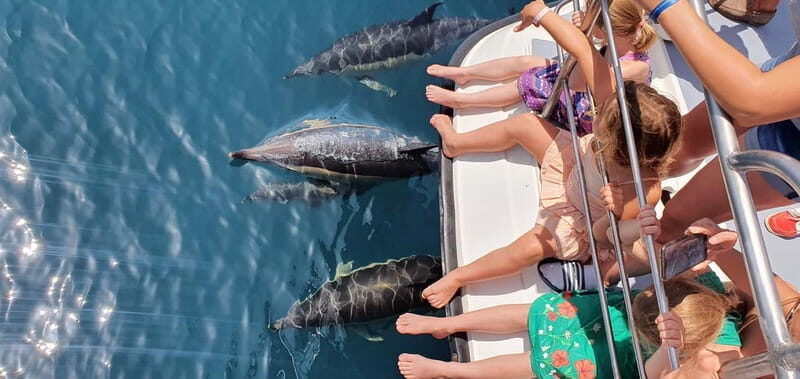 From Lagos: Dolphin Watching Catamaran Cruise - Comprehensive Review of the Dolphin Watching Catamaran Cruise from Lagos