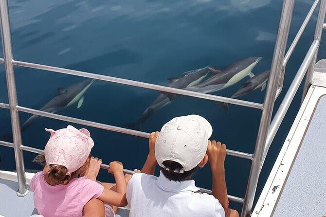 From Lagos: Dolphin Watching Cruise on a Catamaran - The Vessel: A Purpose-Built Catamaran
