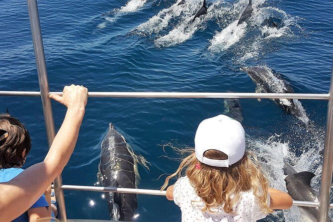 From Lagos: Dolphin Watching Cruise on a Catamaran - Meeting and Departure
