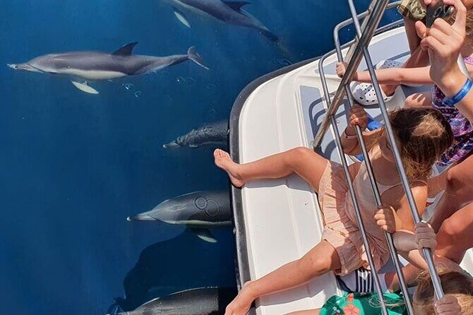 From Lagos: Dolphin Watching Cruise on a Catamaran - Potential Drawbacks