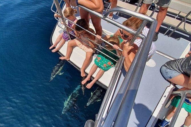 From Lagos: Dolphin Watching Cruise on a Catamaran - Who Will Love This Tour?