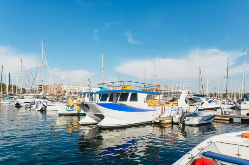 From Lagos: Explore Ponta da Piedade Sea Caves by Kayak - Frequently Asked Questions