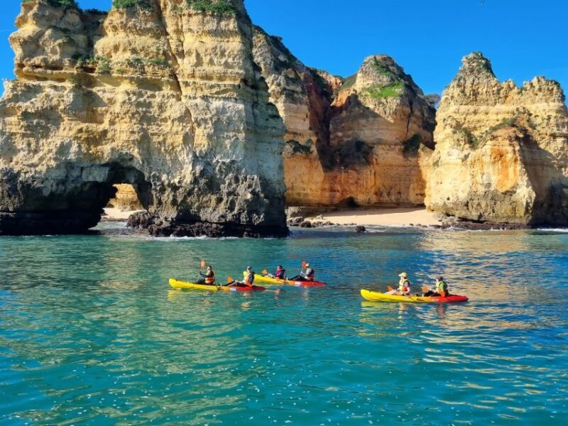 From Lagos: Kayak Experience in Ponta da Piedade - Key Points
