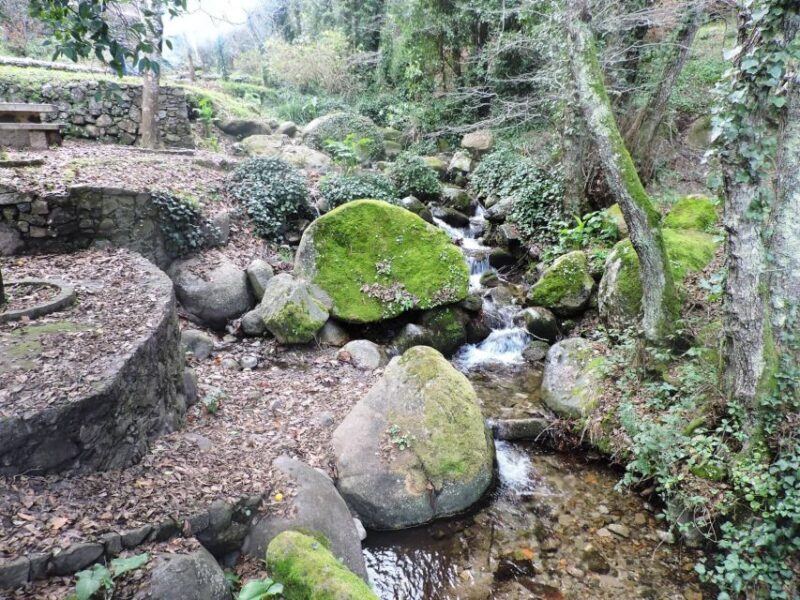 From Lagos: Monchique Private Guided Hike + Medronho Tasting - Key Points