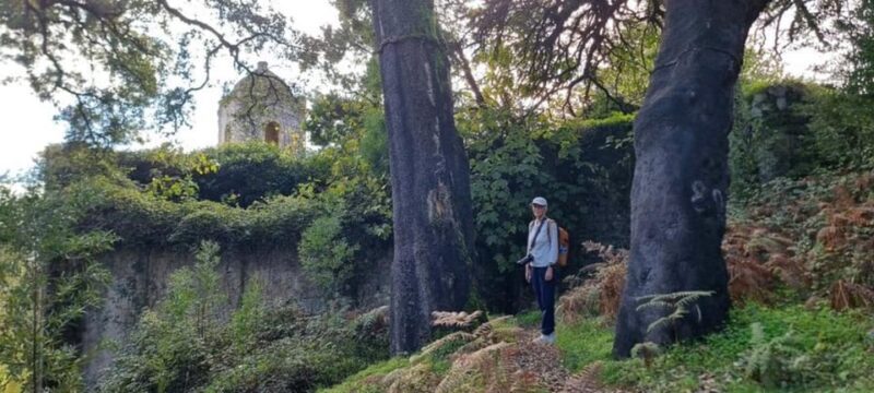 From Lagos: Monchique Private Guided Hike + Medronho Tasting - Final Thoughts