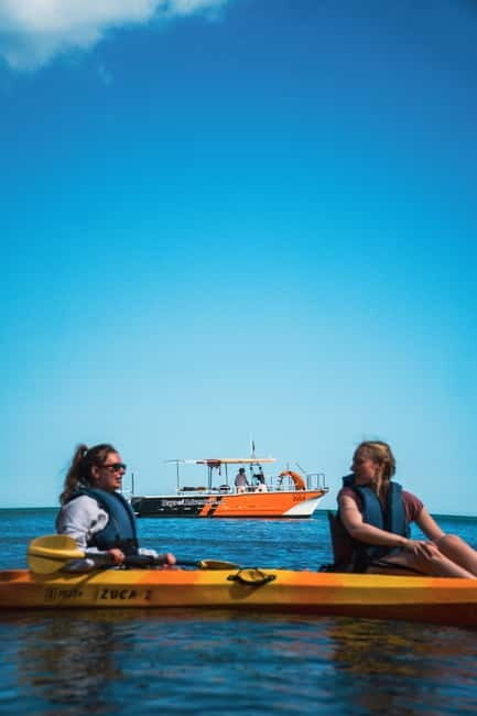 From Lagos: Ponta da Piedade Caves Kayak Tour from Catamaran - Key Points