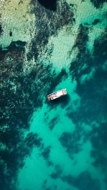From Lagos: Ponta da Piedade Caves Kayak Tour from Catamaran - A Deep Dive into the Experience