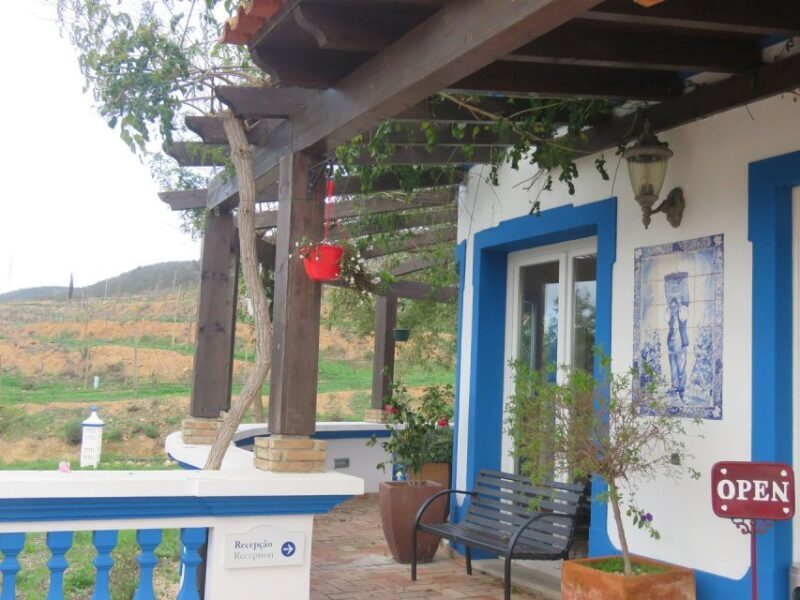 From Lagos: Private Algarve Wineries Tour with Tastings - Value and Practicality