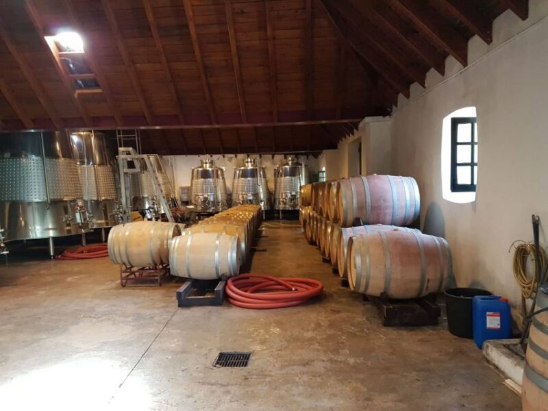 From Lagos: Private Algarve Wineries Tour with Tastings - Final Thoughts