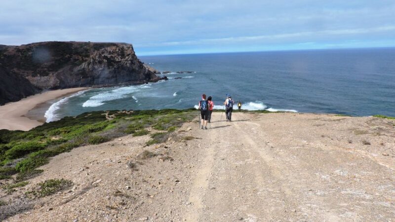 From Lagos: Private Guided Hike along the Vicentina Coast - The Experience in Detail