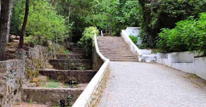 From Lagos: Private Tour with Medronho Tasting - Who Should Consider This Tour?